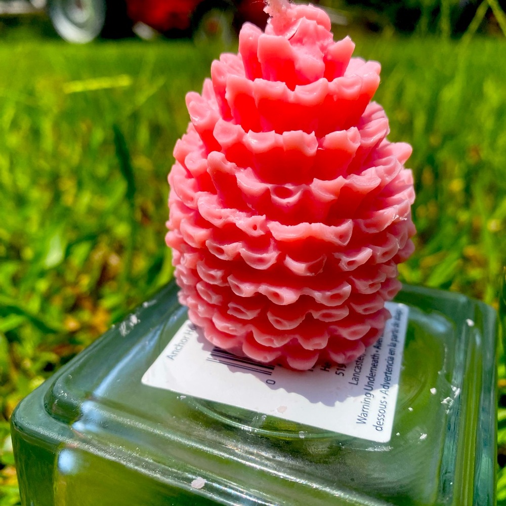 Pine cone candle